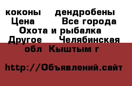 коконы    дендробены › Цена ­ 25 - Все города Охота и рыбалка » Другое   . Челябинская обл.,Кыштым г.